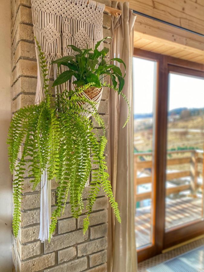 Dziejba Lesna Apartamenty &Spa - Piekne I Nowe Apartamenty I Domek, Sauna I Jacuzzi - W Cenie I Na Wylacznosc, 1 Km Od Stoku Jaworki Dış mekan fotoğraf