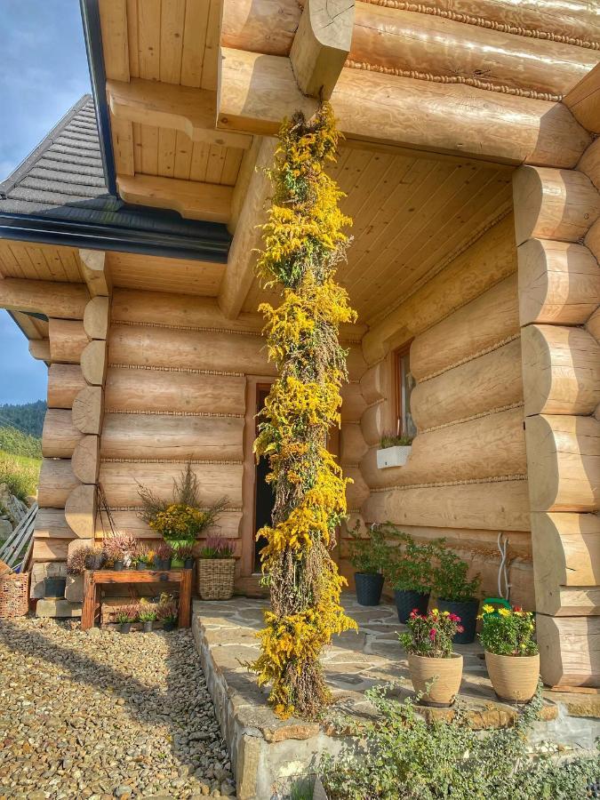 Dziejba Lesna Apartamenty &Spa - Piekne I Nowe Apartamenty I Domek, Sauna I Jacuzzi - W Cenie I Na Wylacznosc, 1 Km Od Stoku Jaworki Dış mekan fotoğraf
