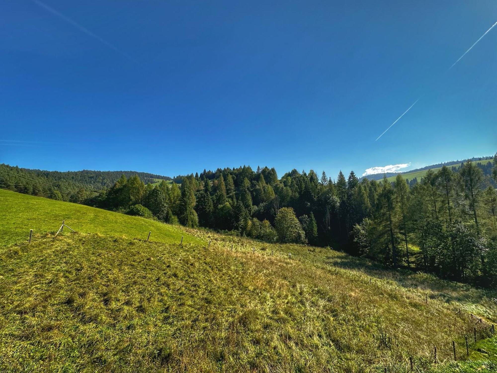 Dziejba Lesna Apartamenty &Spa - Piekne I Nowe Apartamenty I Domek, Sauna I Jacuzzi - W Cenie I Na Wylacznosc, 1 Km Od Stoku Jaworki Oda fotoğraf